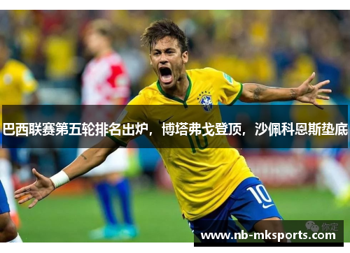 巴西联赛第五轮排名出炉，博塔弗戈登顶，沙佩科恩斯垫底