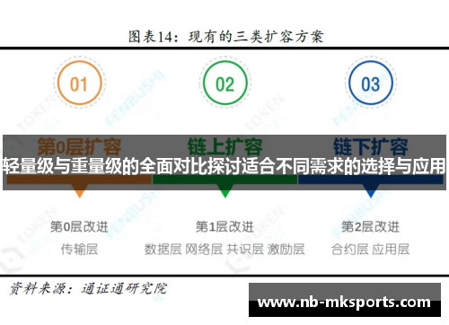 轻量级与重量级的全面对比探讨适合不同需求的选择与应用